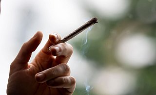 Die Ampel-Parteien wollen 2023 Cannabis zu Genusszwecken legalisieren. - Fabian Sommer/dpa