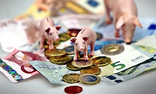 Der Rat der Stadt Oerlinghausen hat den Doppelhaushalt für die Jahre 2022 und 2023 beschlossen. Die Stadt wird also wieder handlungsfähig, doch die Sparschweine müssen insgesamt fünf Millionen Euro hergeben. - Sarah Jonek (Symbolfoto)