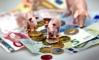 Es steht jetzt fest, wie viel Geld in diesem Jahr von der Stadt SHS wofür ausgegeben wird. - Sarah Jonek