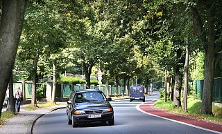 Die Allee Vlothoer Straße wird zukünftig noch zum Problem werden. Wenn es immer weniger regnet, müssen die Bäume gewässert werden. - Frank-Michael Kiel-Steinkamp