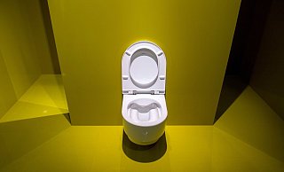 Trödelt der Vermieter mit der Reparatur einer defekten Toilette, können Mieter die Instandsetzung in Eigenregie veranlassen. - Andrea Warnecke/dpa-tmn