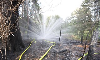 Bei den Löscharbeiten kam auch der neue Spezialkopf für Waldbrände zum Einsatz. - Nicole Sielermann