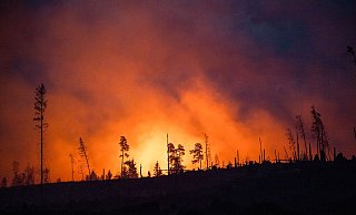 Waldbrände fachen mit ihren Emissionen die Erderwärmung zusätzlich an. (Illustraiton) - Daniel Vogl/dpa