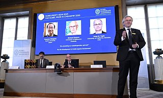 Mit ihrer Forscher legten die Chemiker die Basis für viele mögliche Problemlösungen. - Fredrik Sandberg/TT News Agency/AP/dpa