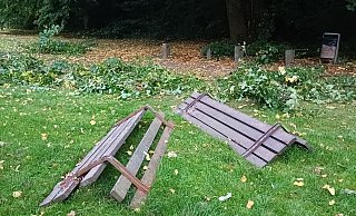Zerlegte Bänke, nackte Betonsockel und ein Haufen von Grünzeug - Spaziergänger im Grünzug zwischen Uni Bielefeld und Schloßhofstraße waren ratlos. - Ingo Müntz