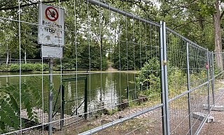 Betreten verboten: Der 1,80 Meter hohe Bauzaun versperrt den Weg zum Buttersee. - Shannon-Lee Bendig