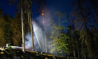 Nach den jüngsten großen Waldbränden im Teuto im April 2020 hat sich die Feuerwehr Bielefeld neu organisiert. - Christian Mathiesen