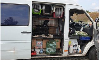 Bis unter das Dach war der Transporter beladen, den die Polizei anhielt. - Polizei Bielefeld