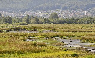 Das ist der aktuelle Wasserstand. - G.H. Nahrwold