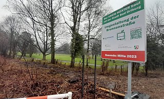 Ein Blick auf das Areal Richtung Brunnenstraße in Bad Driburg nach den Baumpflege-Arbeiten. - Simone Flörke