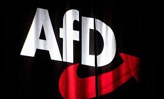 Kriselt es zwischen der AfD und Marine Le Pen? - Sina Schuldt/dpa