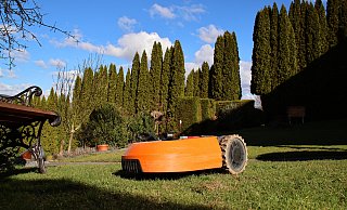 Mähroboter sind für viele Menschen praktische Helfer bei der Rasenpflege. Insbesondere nachts und bei der Dämmerung kann von den Geräten aber eine große Gefahr für viele Tiere – insbesondere Igel – ausgehen. Deshalb sollten die Geräte nur am Tag in Betrieb genommen werden. - Kreis Höxter