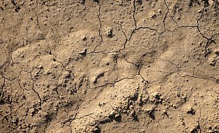 Auch der Kreis Herford kündigt wegen der anhaltenden Dürre ein Verbot von Wasserentnahmen aus Oberflächengewässern an. - Symbolbild: Pixabay