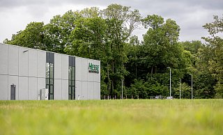 Das Paderborner Unternehmen Hesse Mechatronics möchte auf dem Firmengelände ein Parkhaus bauen, dafür müsste das Wäldchen gerodet werden. (Archivbild) - Niklas Tüns