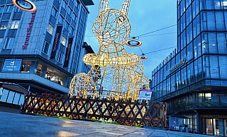 Das leuchtende Eichhörnchen ersetzt den Weihnachtsbaum am Jahnplatz. Die Meinungen der Bielefeler dazu sind gespalten. - BARBARA FRANKE