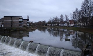 Das Bergertor-Wehr wird neu gebaut. In einem Atemzug sollen auch die Freiflächen gestaltet werden. Dafür müssen mehr als 30 Bäume gefällt werden. - Susanne Blersch