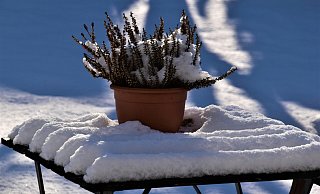 Eine alte Bauernregel besagt: Bis zum 21. Oktober muss der Garten winterfest sein. Heutzutage sieht man diese Regel nicht mehr so eng. - Unsplash