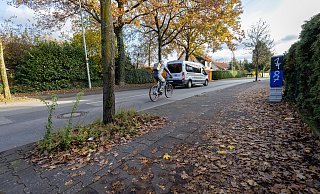 Radfahrer müssen auf dem Radweg an der Dubelohstraße Bäume umfahren, manche weichen daher auf die Straße aus. - Niklas Tüns