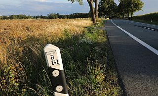 99 der Bäume entlang der B252 zwischen Hohenwepel und Gut Alfredshöhe sollten gefällt werden. Derzeit ist noch völlig unklar, wie es weitergeht. - Simone Flörke/Archiv 99 der Bäume entlang der B252 zwischen Hohenwepel und Gut Alfredshöhe sollten gefällt werden. Derzeit ist noch völlig unklar, wie es weitergeht. - Simone Flörke/Archiv