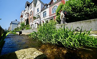 Die offengelegte Lutter in der Ravensberger Straße ist an heißen Tagen für viele ein kühler „Hotspot“. Doch in Bielefeld gibt’s noch mehr Orte am Wasser. - Peter Unger