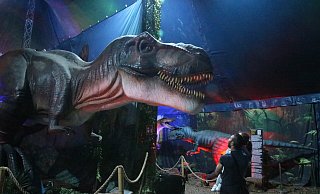 Imposante Dinos in allen Größen: Bei der iTronic-Dinosaurs Ausstellung am Bielefelder Gleisdreieck wartet auch dieser T-Rex auf Besucherinnen und Besucher. - Dana Thoeren