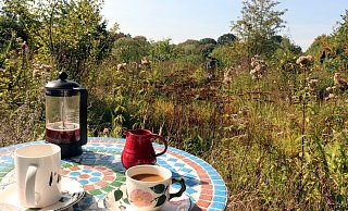 So lässt es sich aushalten: Spätsommersonne, kleiner Tisch, zwei Stühle und zwei Tassen Kaffee inmitten der Vegetation – schöner geht’s nicht. Der Blick fällt theoretisch auf den Gartenteich, der ist in diesen Septembertagen allerdings ziemlich zugewachsen. Die Natur freut sich darüber. Und die weitaus meisten Besucher der Eheleute Freyja und Friedhelm Diebrok ebenfalls. - Meiko Haselhorst