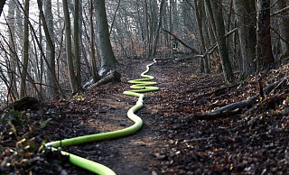 Bei einem Waldbrand in Porta-Westfalica wurden 450 Meter Schlauch verlegt. - Alex Lehn Bei einem Waldbrand in Porta-Westfalica wurden 450 Meter Schlauch verlegt. - Alex Lehn