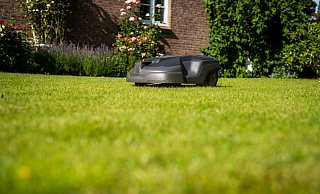 Ein Mähroboter schnurrt im Garten. In der Nacht gefährdet die Maschine allerdings Igel und andere Kleintiere. - Benjamin Nolte/dpa-tmn