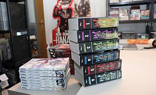 Zwei Löhnerinnen sind mit einem Manga-Online-Shop erfolgreich. - Judith Gladow