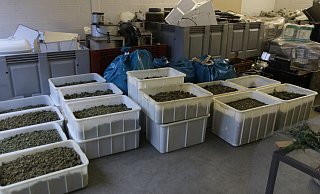 Erfolg für die Herforder Polizei: Nach Zeugenhinweisen hatten Spezialeinsatzkräfte eine Firma durchsucht, in der Drogen im Wert von rund einer halben Million Euro sichergestellt werden konnten. - Claus Frickemeier