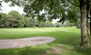 Viele Bäume strukturieren das Gelände des Golfclubs Heerhof in Exter. Sie müssten zum Teil wohl zugunsten einer flächendeckenden Photovoltaikanlage geopfert werden. - Frank-Michael Kiel-Steinkamp