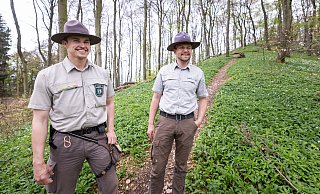 Maximilian Köhn (l) erklärt, was beim Pflücken von Bärlauch zu wissen ist. Er und sein Kollege Aaron Gellern (r) sind Ranger. - Oliver Krato
