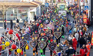 Zahlreiche Fußgruppen und Motivwagen zogen beim Rosenmontagsumzug durch Delbrück. - Niklas Tüns