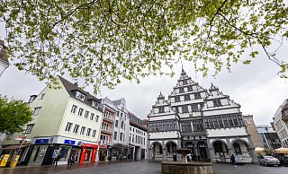 Im Umweltausschuss wurde über die Zukunft der Baumschutzsatzung diskutiert - mit einem Ergebnis. - Niklas Tüns