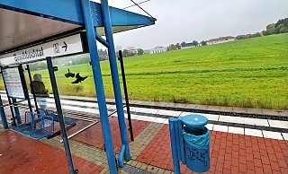 Etliche neue Wohngebiete in Heepen - hier kommen sie hin: Rund um die 2015 in Betrieb genommene Haltestelle Buschbachtal. - Barbara Franke