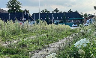 Auf diesem Gelände am Nottebrocksweg gegenüber dem Zentraleingang zum ehemaligen Flughafen in Gütersloh will Schüco auf 100.000 Quadratmetern neu bauen. - Jeanette Salzmann