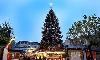 So schön leuchtete die große Tanne auf dem Alten Markt im vergangenen Jahr. - Frank-Michael Kiel-Steinkamp
