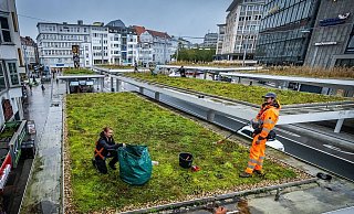 Bislang beschränkt sich das wenige Jahnplatz-Grün unter anderem auf die Dächer der Bushaltestellen. - Sarah Jonek
