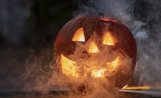 Nach Halloween stellt sich die Frage, wie der Kürbis richtig entsorgt wird. - Symbolbild Pixabay