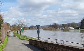 Der Weserradweg in Höxter ist inzwischen überflutet. - Madita Schellenberg