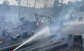 Rund 100 Feuerwehrleute waren im Juni 2023 im Leiberger Wald im Einsatz. Im Hintergrund sind die Überreste des ausgebrannten Harvesters zu sehen. - Feuerwehr Bad Wünnenberg