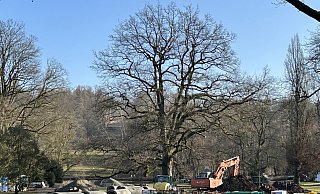 Allein das Hauptrohr musste auf einer Länge von rund 800 Metern im Gräflichen Park ersetzt werden. - Antje Kiewitt
