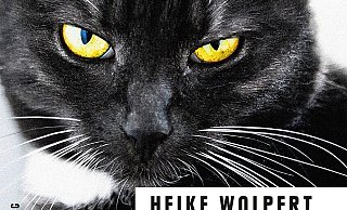 Kater Socke ermittelt: Das Cover des Katzenkrimis.