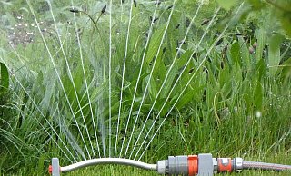 Zum zweiten Mal in Folge gab es im Sommer einen Trinkwasserengpass. Seinen Rasen mit einem Wassersprenger zu sprengen, wurde verboten. - Esther Merbt / pixabay