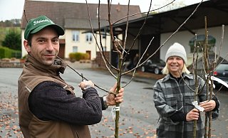 Simon Steiner bereitet mit Susie Beineke die Bäume vor. - Thomas Kube