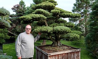 Gartengestalter Hans-Joachim Kleimann ist ein deutschlandweit gefragter Experte für asiatisch inspirierte Gartengestaltung mit Gartenbonsais. Hier zeigt er eine 150 Jahre alte, selbst importierte Japanische Mädchenkiefer. - Frank-Michael Kiel-Steinkamp