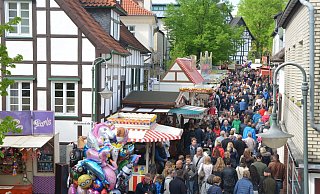 An die 40.000 Besucher zieht es jedes Jahr über die drei Festtage zum Kirschblütenfest. - Mareike Patock