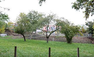 Eine Baustelle in Levern beschäftigt derzeit die Behörden. Beantragt war der Bau eines kleinen Ponystalls an einem Schiefer-Steilhang nahe des historischen Ortskerns. - Joern Spreen-Ledebur