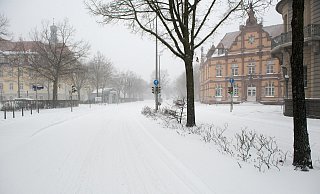 Auf der sonst viel befahren Hauptverkehrsachse Berliner Straße/Auf der Freiheit in Herford sorgt der Schnee für Ruhe. - Ralf Bittner