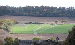 Der Schaden ist nicht nur für die betroffenen Dorfbewohner groß, sondern auch für die Landwirte.  - David Schellenberg